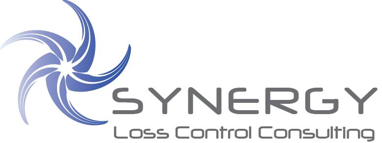 Synergy Loss Control Consulting LLC
